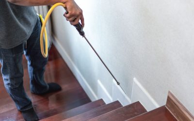 John Piper International : Your Trusted Partner in Termite & Pest Control in Sri Lanka