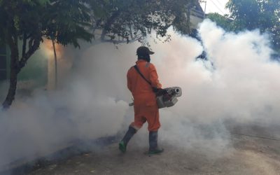 Why Fumigation is Essential for Pest  Control?